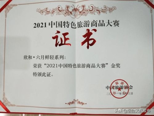 第三屆山東省文化和旅游商品創新設計大賽煙臺獲佳績 1金2銀2銅閃耀賽場，助推文化藝術交流創新