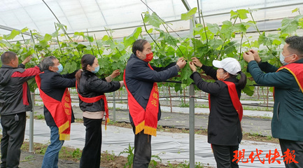 鹽城勞模愛(ài)心團(tuán)隊(duì) 科技助農(nóng)，護(hù)航春耕防疫“兩不誤”